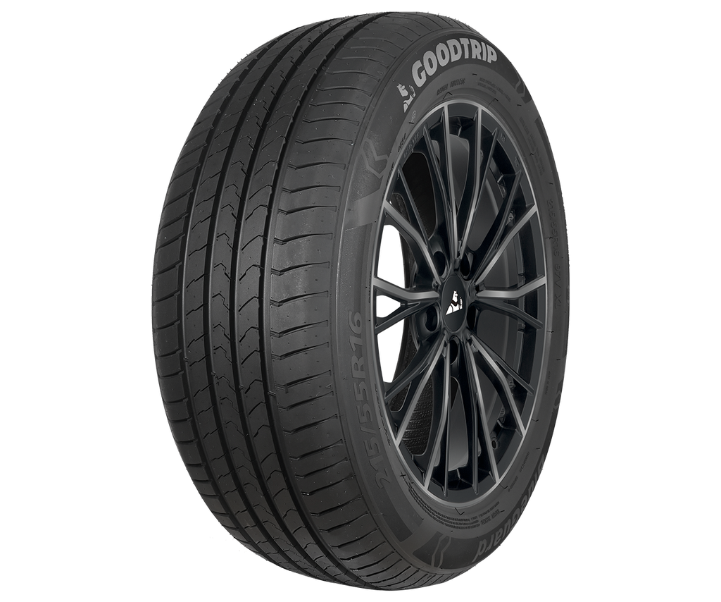 195/55R16 87V GOODTRIP BLUEGUARD