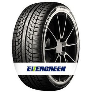 PNEU PN 175/65 R 14 82T EVERGREEN EA719