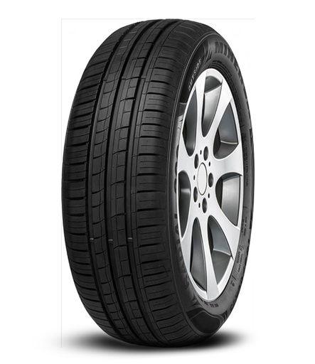 165/65 R14 79T MINERVA 209